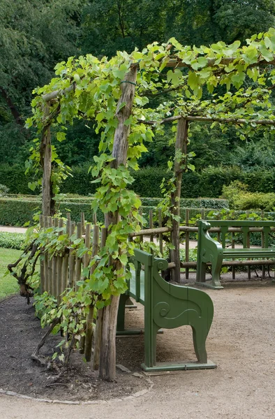 Arbor shading garden benches — Stock Photo, Image