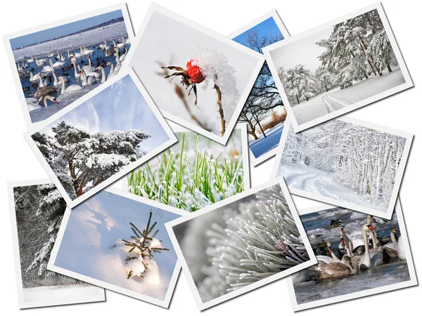 stock image Winter postcards