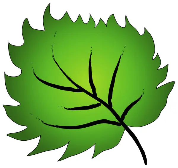 stock vector Green leaf