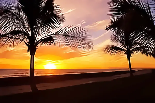 stock image Palms and sunset