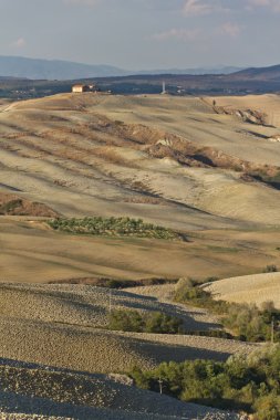 Girit senesi peyzaj