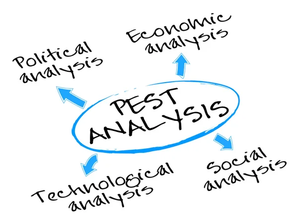 Pest-analyse — Stockvector