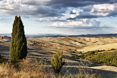 Crete Senesi Landscape clipart