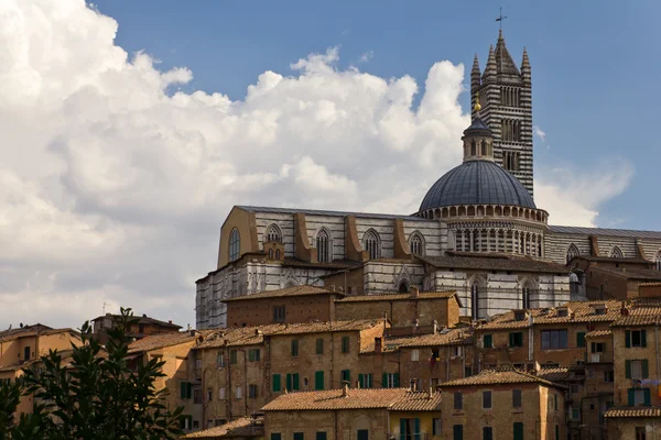 Siena Architecture — Stock Photo, Image