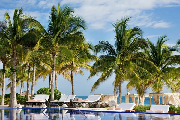 Resort tropical — Fotografia de Stock