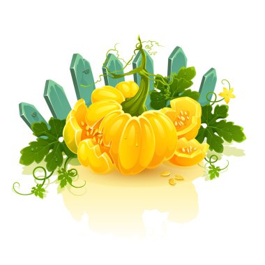 Golden pumpkin. clipart