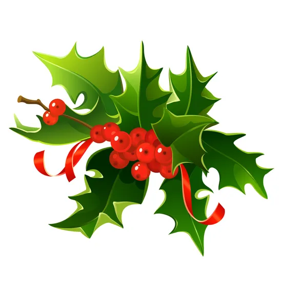 stock vector Holly berries