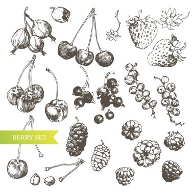 Berry set. clipart