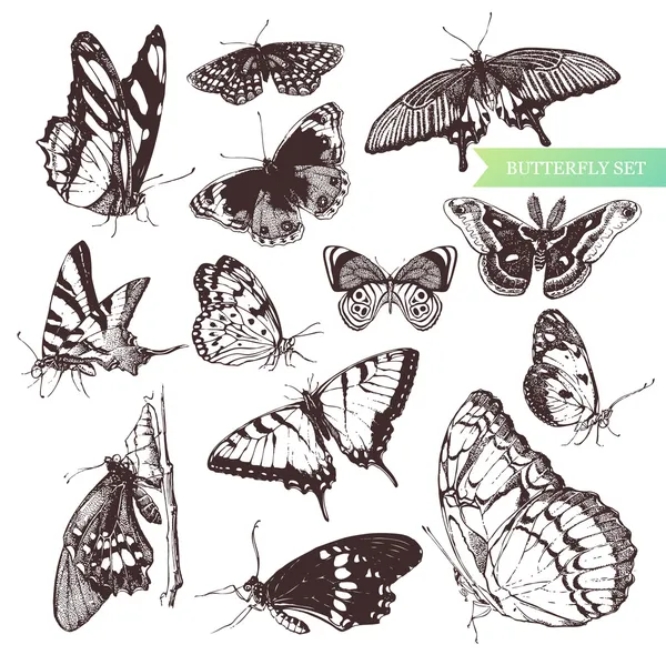 Set di farfalle . — Vettoriale Stock