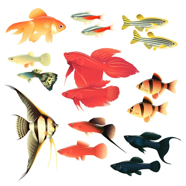 水族館の魚類 — Stockový vektor
