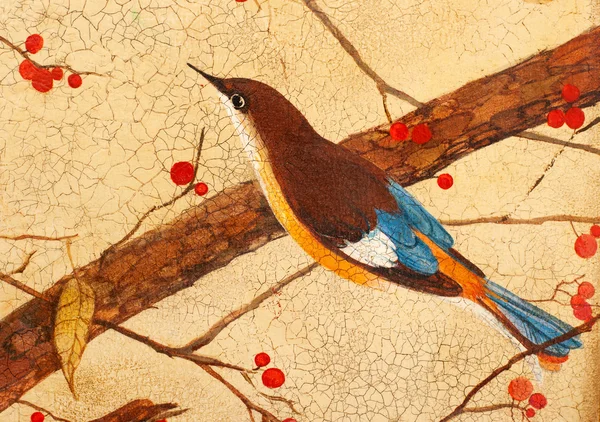 Pássaro em ramos — Fotografia de Stock