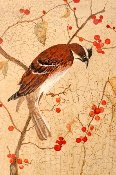 Ptak na gałęziach — Zdjęcie stockowe
