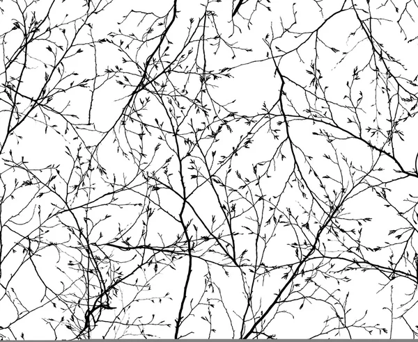 Seamless texture of the branches — Stock Photo, Image