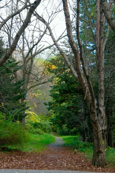 stock image Road To Park