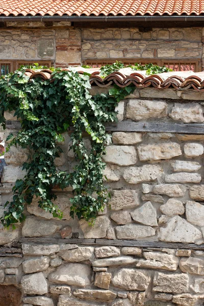Ivy escalando a parede velha — Fotografia de Stock