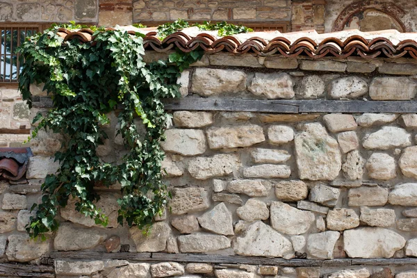 Murgröna klättrar den gamla muren — Stockfoto