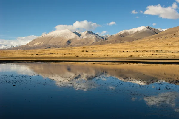 Zonas húmidas no Tibete — Fotografia de Stock
