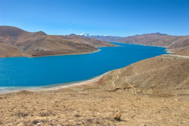 Yamdrok teknik destek