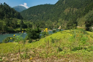 bhote: kosi Nehri