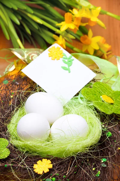 Ninho com ovos — Fotografia de Stock