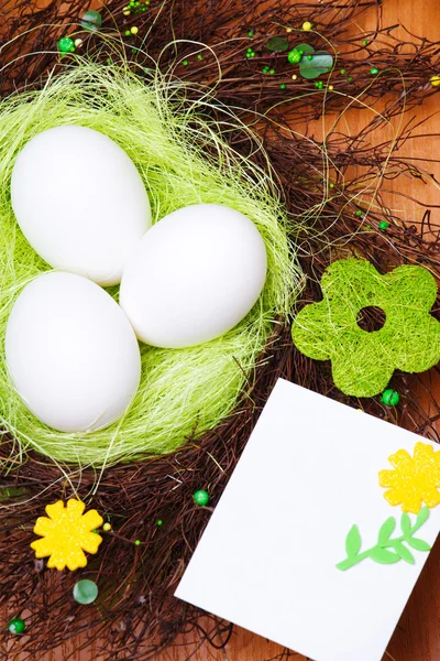 Яйца в весеннем гнезде — стоковое фото
