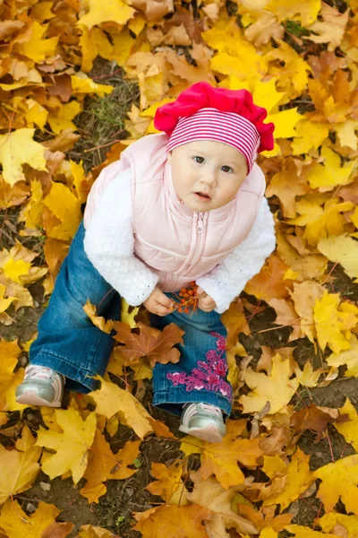 Девушка в желтых листьях — стоковое фото