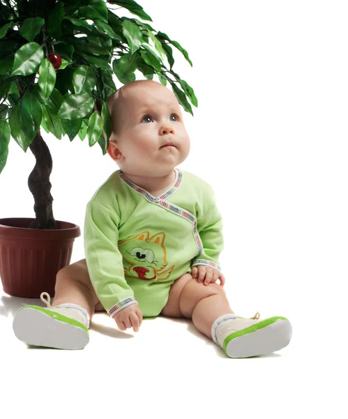 Bambino seduto sotto l'albero verde — Foto Stock