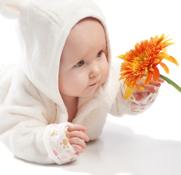Baby examining daisy — Stock Photo, Image