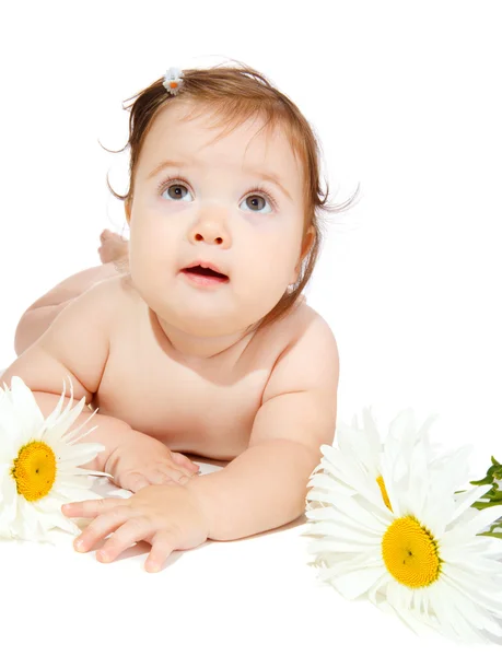 カモミールと赤ちゃん — ストック写真