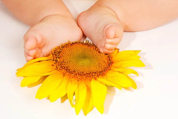 Baby's feet on sunflower — Stock Photo, Image