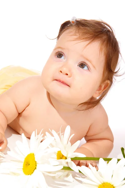 Çiçek bebek — Stok fotoğraf