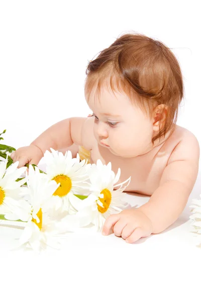Квітка дитяче — стокове фото
