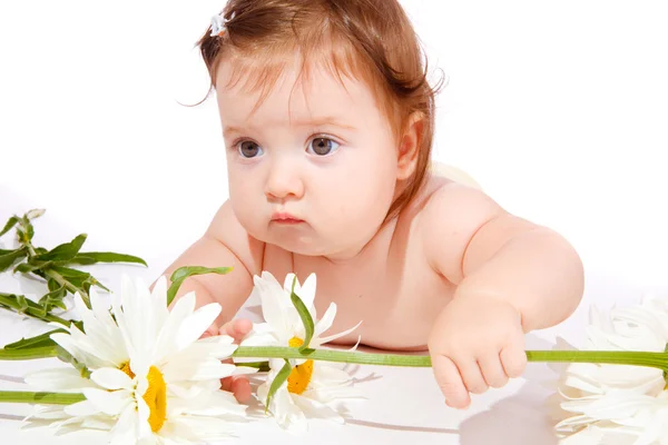 Квітка дитяче — стокове фото