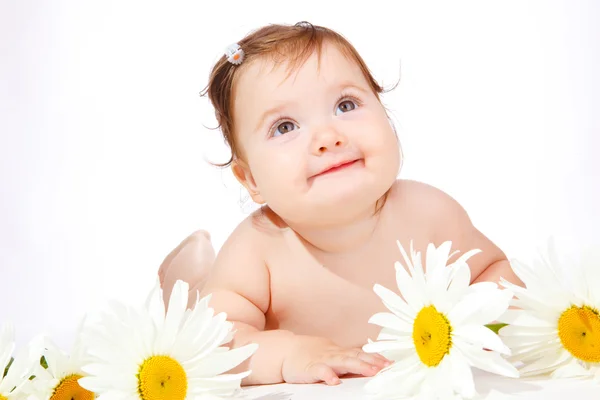 Bebé flor — Foto de Stock