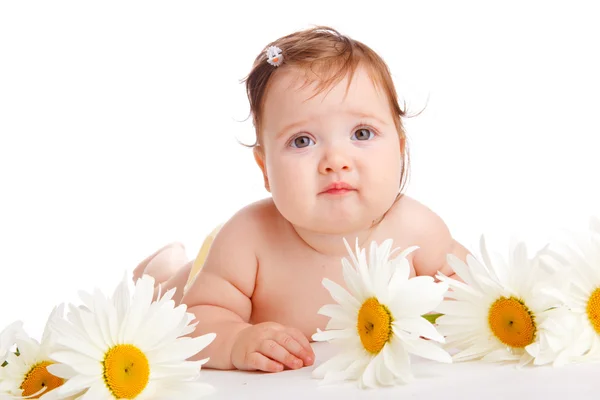 Bebé flor — Foto de Stock