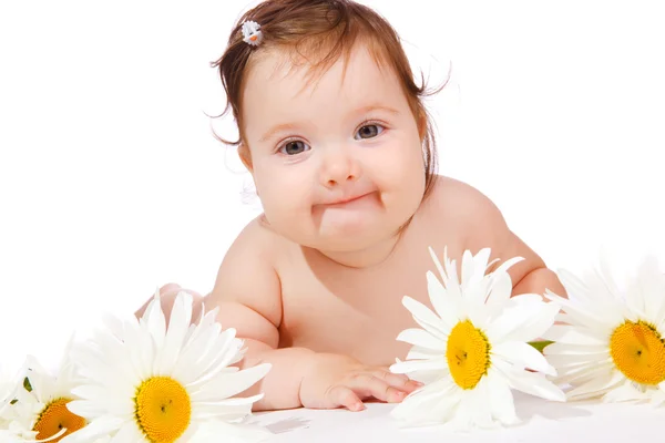 Bebé manzanilla —  Fotos de Stock