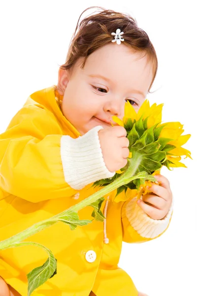 Sunflower baby — Stock Photo, Image
