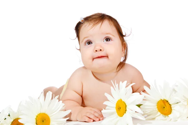赤ちゃんの花 — ストック写真