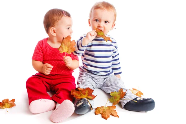 Bebés de otoño —  Fotos de Stock