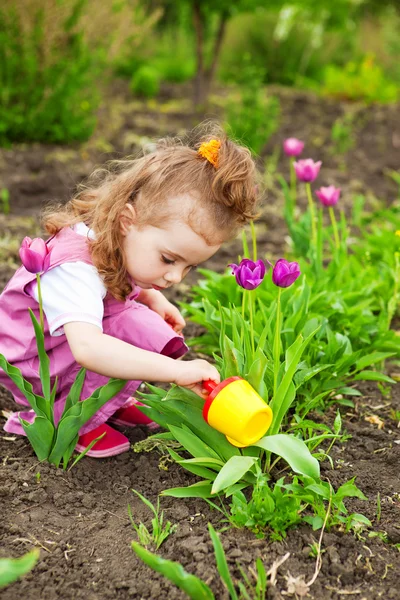 Mädchen gießt Blume — Stockfoto