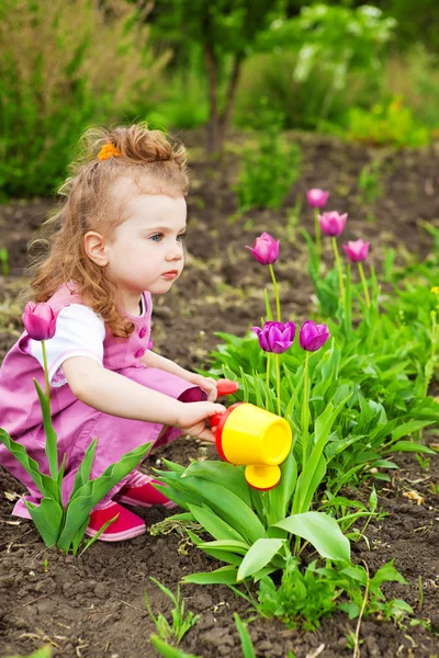 Девушка поливает цветы — стоковое фото