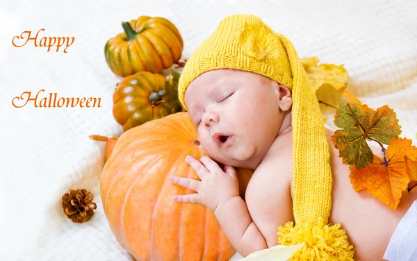 Feliz cartão de felicitações de Halloween — Fotografia de Stock