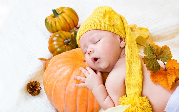 Happy halloween greeting card — Stock Photo, Image