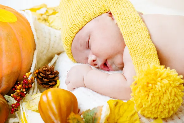 Newborn kid among pumpkins — Stock Photo, Image