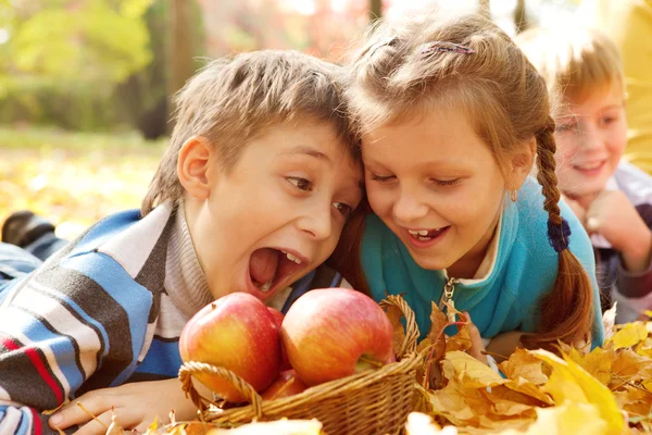 Дети кусают осенние яблоки — стоковое фото