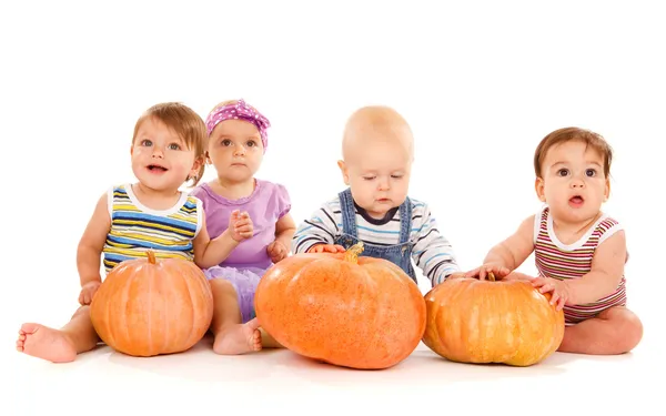 Bebês com abóboras — Fotografia de Stock