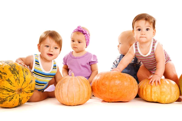 Vrienden spelen met pumpkins — Stockfoto