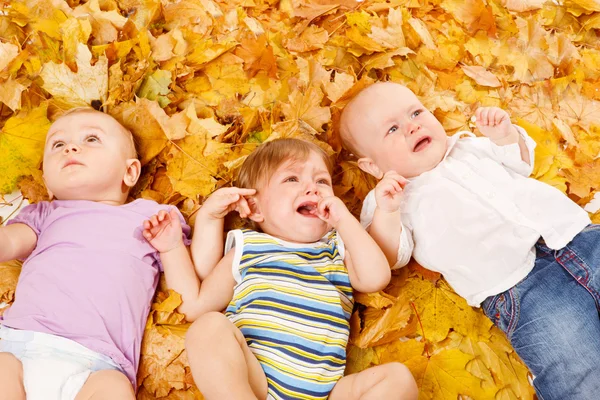 Os bebês mentem nas folhas — Fotografia de Stock