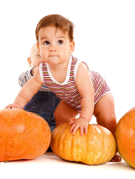 Toddlers playing with pumpkins — Stock Photo, Image