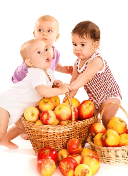 Яблочные младенцы — стоковое фото